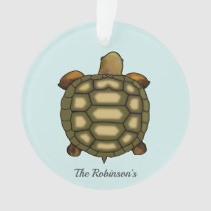 Tortue sur l'ornement acrylique bleu clair