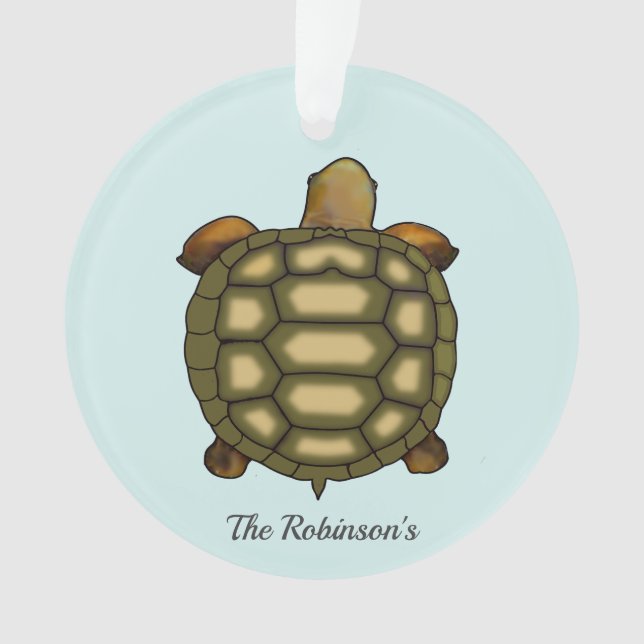 Tortue sur l'ornement acrylique bleu clair (devant)