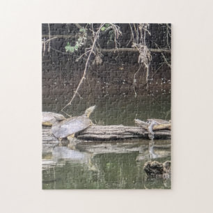 Tortue sur un Tronc Puzzle