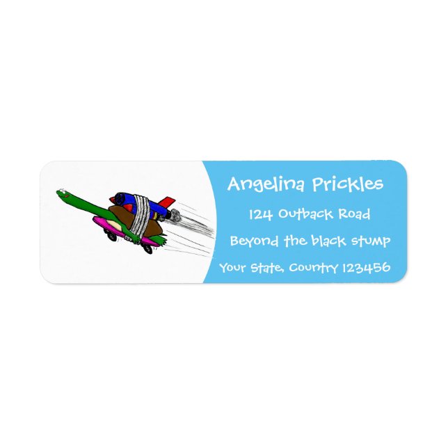 Tortue volante (Devant)