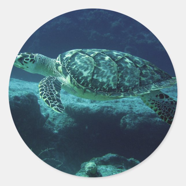 Tortuga Classic Round Sticker (Front)