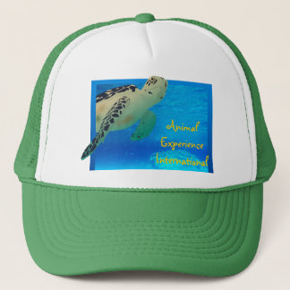 Tortuga Hat