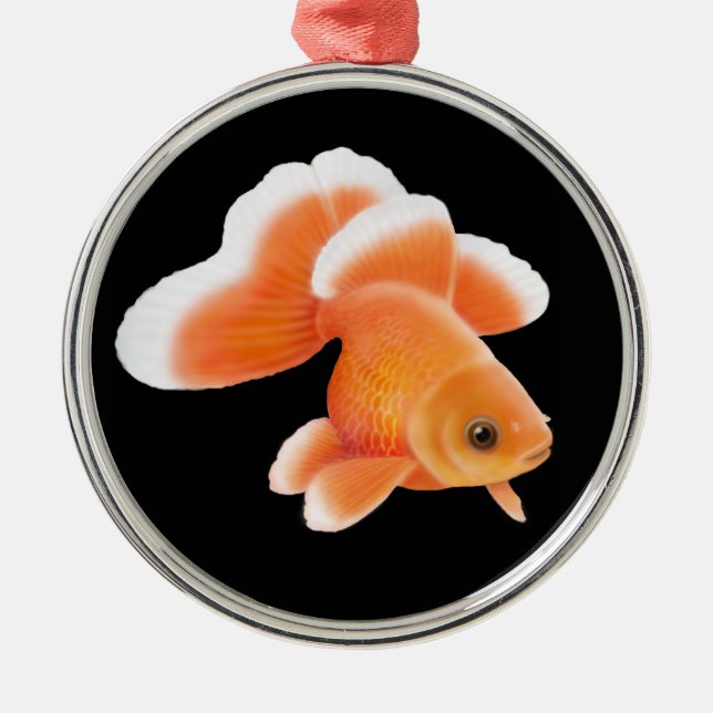 Tosakin Fantail Goldfish Ornament (Front)