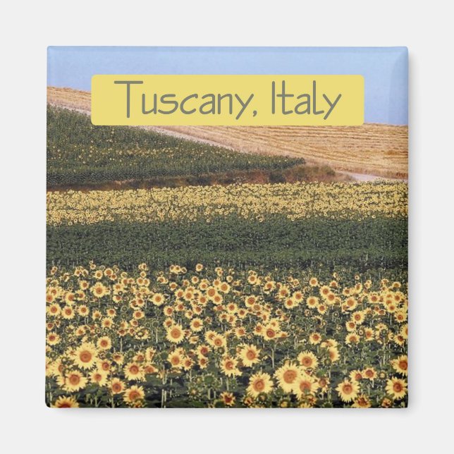 Toscane Italie Voyage Souvenir Photo Frigo Magnet (Devant)