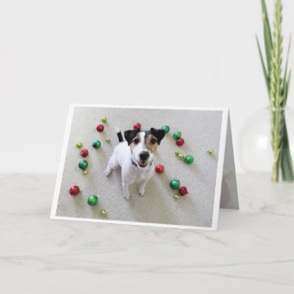Tossed Ornaments Jack Russell Terrier card