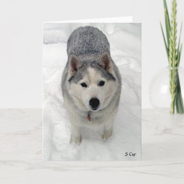 Total Adoration, S Cyr Card (Front)