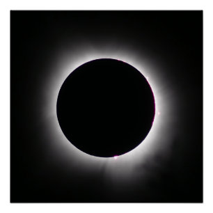 Total Solar Eclipse April 8, 2024 Poster