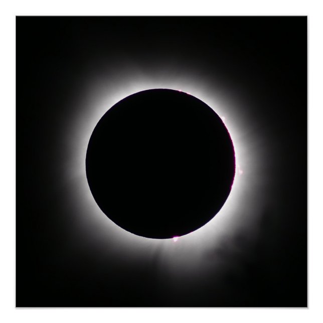 Total Solar Eclipse April 8, 2024 Poster (Front)