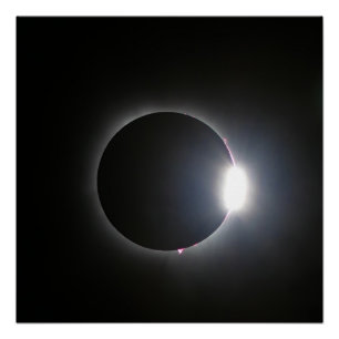 Total Solar Eclipse April 8, 2024 Poster