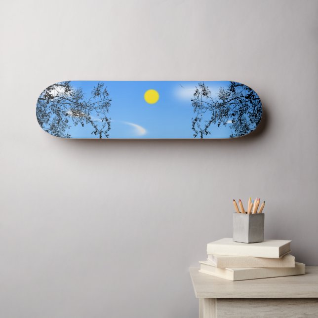 total time skateboard (Wall Art (Horz))
