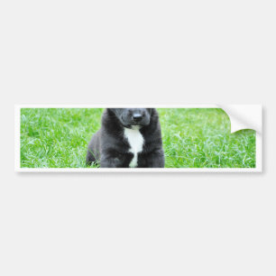 Totally Adorable Puppy Bumper Sticker