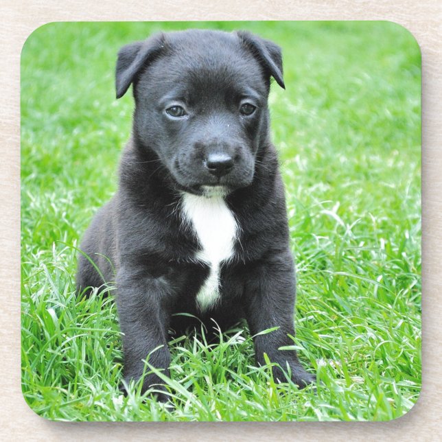 Totally Adorable Puppy Coaster (Front)