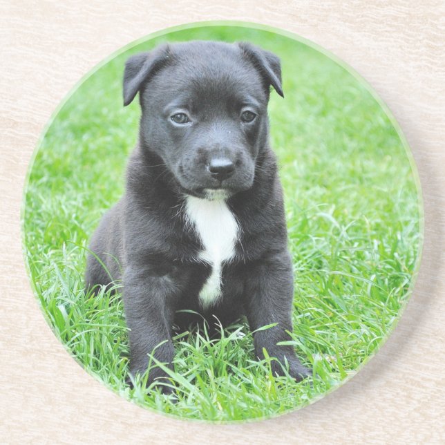 Totally Adorable Puppy Coaster (Front)