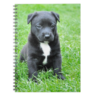 Totally Adorable Puppy Notebook
