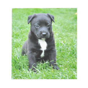 Totally Adorable Puppy Notepad
