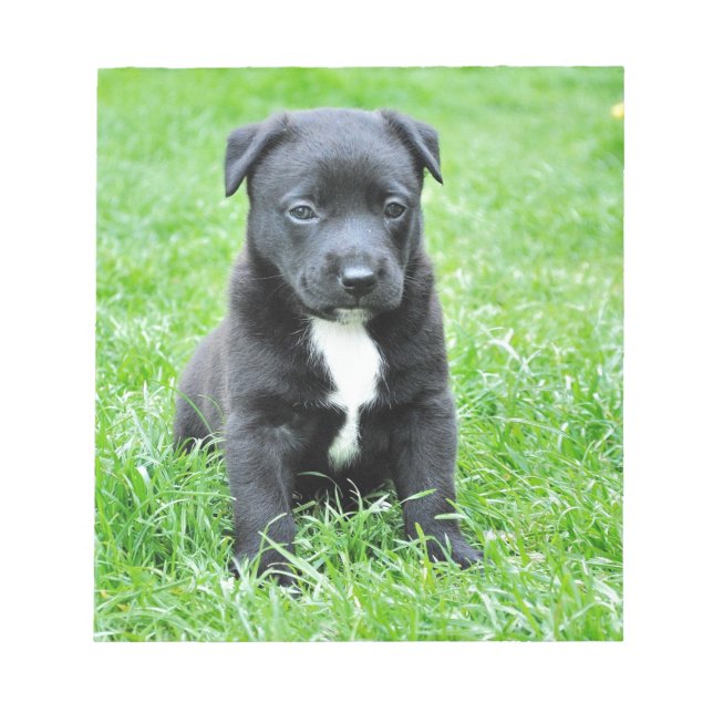 Totally Adorable Puppy Notepad (Front)