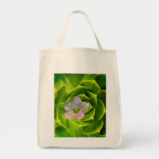 Tote Bag A Hellebore, a Lenten Rose