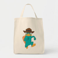 Agent P en cours d'exécution