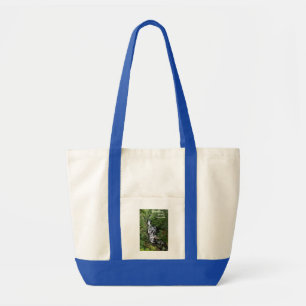 Tote Bag Allons à la recherche de cascades