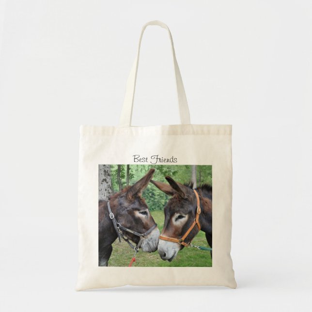 Tote Bag Amis d'âne (Devant)