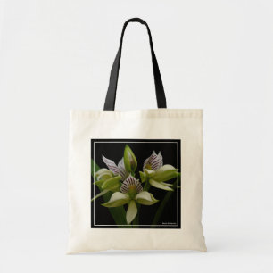 Tote Bag Anacheilium Chacoense