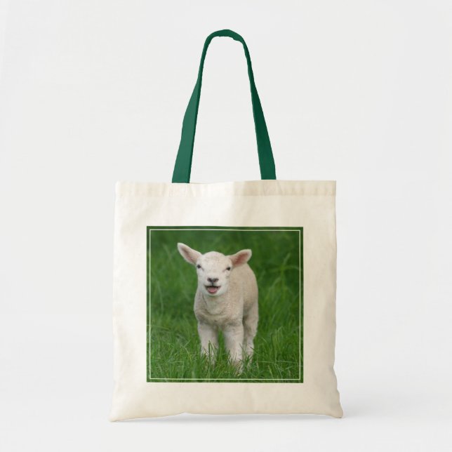 Tote Bag Animaux de bébés cutest | Lil Lamb (Devant)