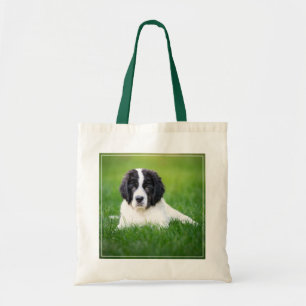 Tote Bag Animaux de bébés cutest Newfoundland Puppy