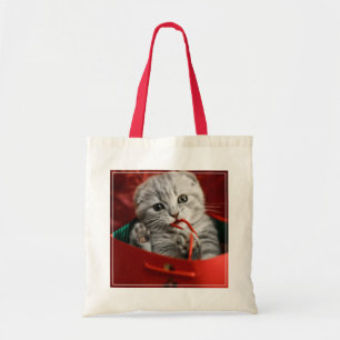 Tote Bag Animaux de bébés cutest   Scottish Fold Kitten