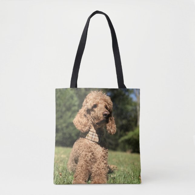 Tote Bag Apricot Poodle personnalisable (Devant)