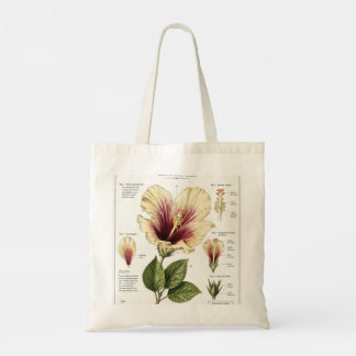 Tote Bag Art d'anatomie florale vintage d'Hibiscus