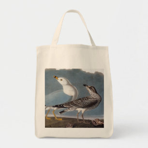 Tote Bag Audubon : Mouette Anneau-Affichée