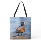 Beau canard arlequin sur le rocher