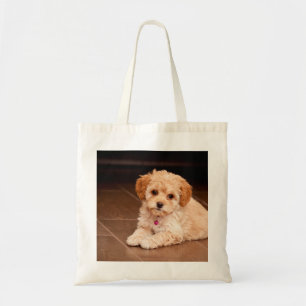Tote Bag Bébé maltais de caniche ou chien de chiot maltipoé