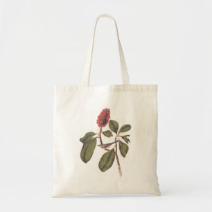 Tote Bag Bécasseau Bonaparte - Oiseau de Paruline du Canada