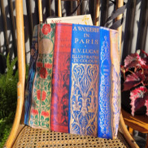 Belle épines de livre