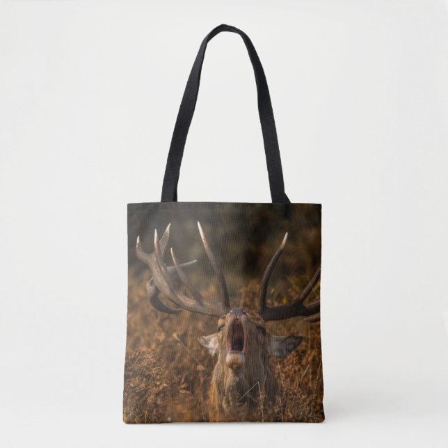 TOTE BAG BELLES ANIMAUX SAUVAGES DE RENNES (Devant)