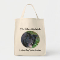 Bordure Collie Aimer Sunshine Cute Chien