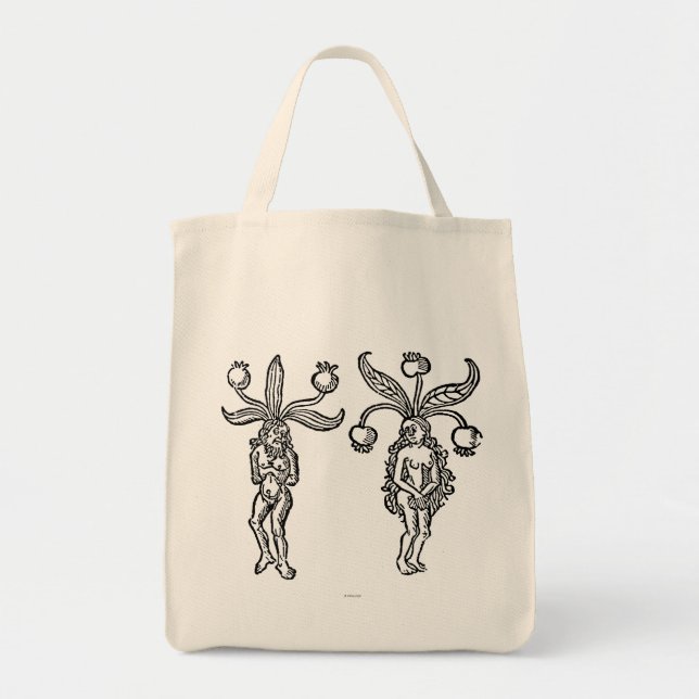 Tote Bag Botanique : Mandragore, 1476 (Devant)