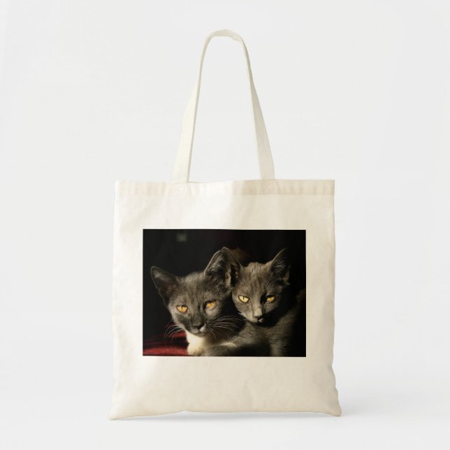 Tote Bag Budget photo des chats gris Fourre-tout (Devant)