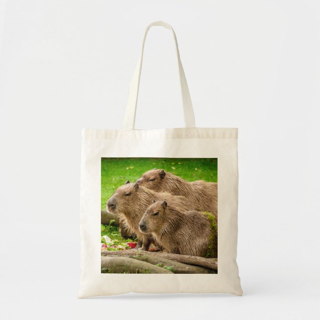 Tote Bag Capybara Trio (Devant)