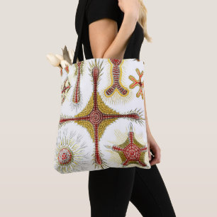 Tote Bag Chamomile sauvage par Ernst Haeckel, Nature Vintag