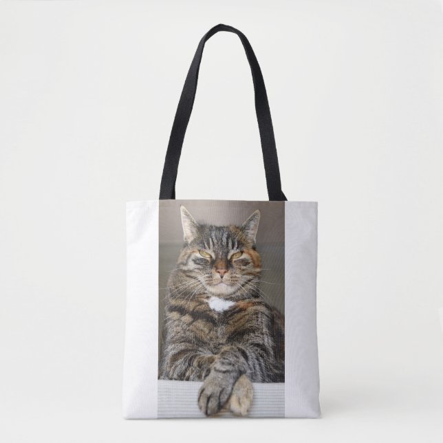 Tote Bag Chat animal de compagnie drôle signifie Humour cyn (Devant)