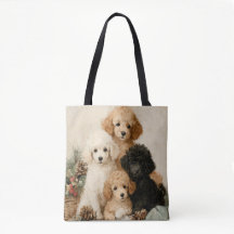 Chiots Caniches Noël Vintage