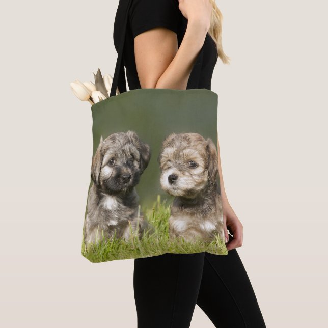 Tote Bag Chiots de Havanese (De près)