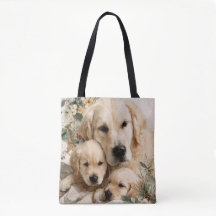 Chiots de la famille Golden Retriever Noël vintage