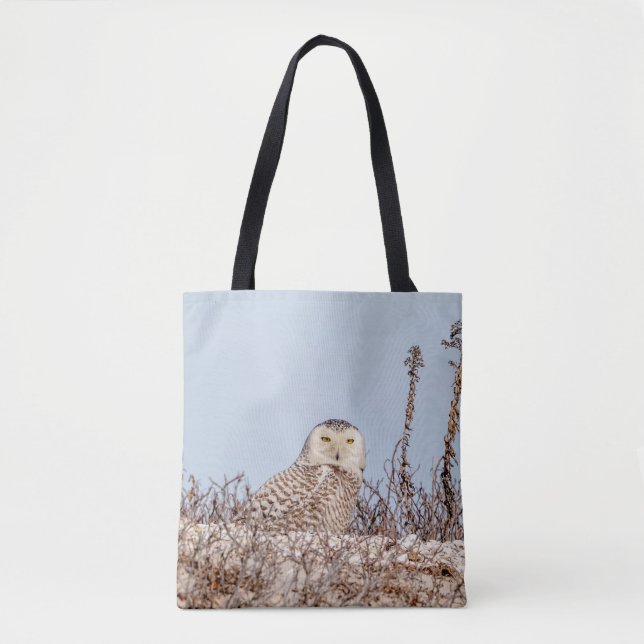 Tote Bag Chouette neige assise sur la plage (Devant)