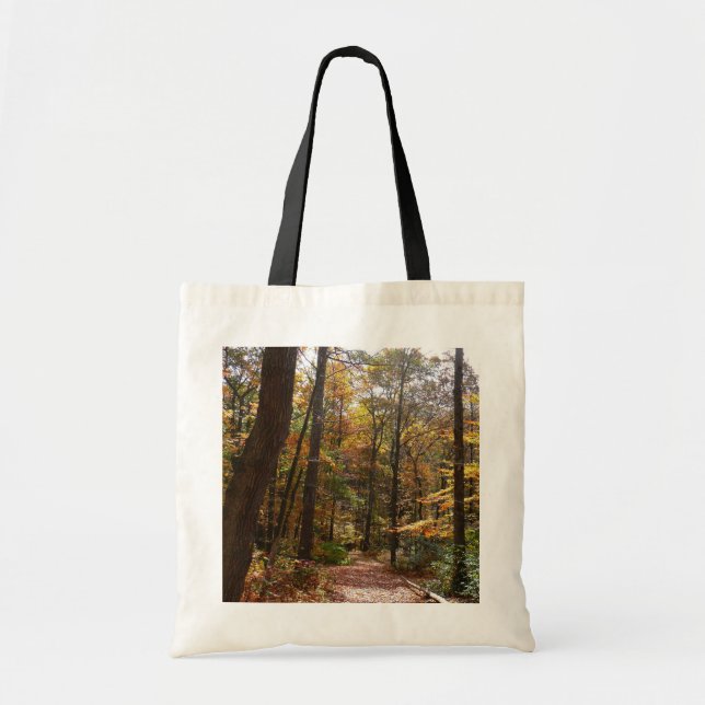 Tote Bag Chute Sunlit dans le parc national de Laurel Hill (Devant)
