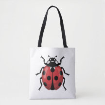Coccinelle Joie Ponctuelle
