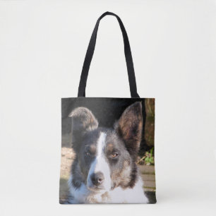 TOTE BAG COLLIE FRONTALIÈRE