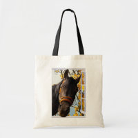Curieux Cheval À Travers La Fenêtre De La Cuisine